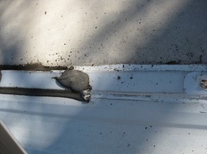 sealant is the black stuff...thin and broken allowing leaks!