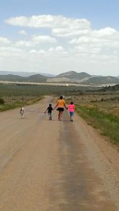 Taking Denali for a walk